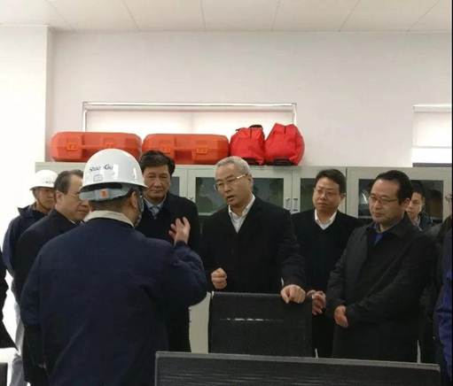 浙江省丽水市市长吴晓东前往浙江新葡的京集团350vip8888能源开发有限公司考察调研