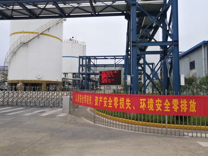 dvnb_image006 图片