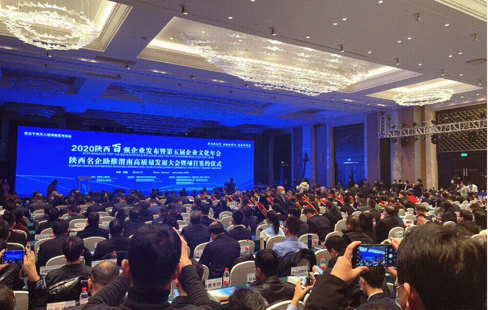这个大会上，新葡的京集团350vip8888斩获多项荣誉！